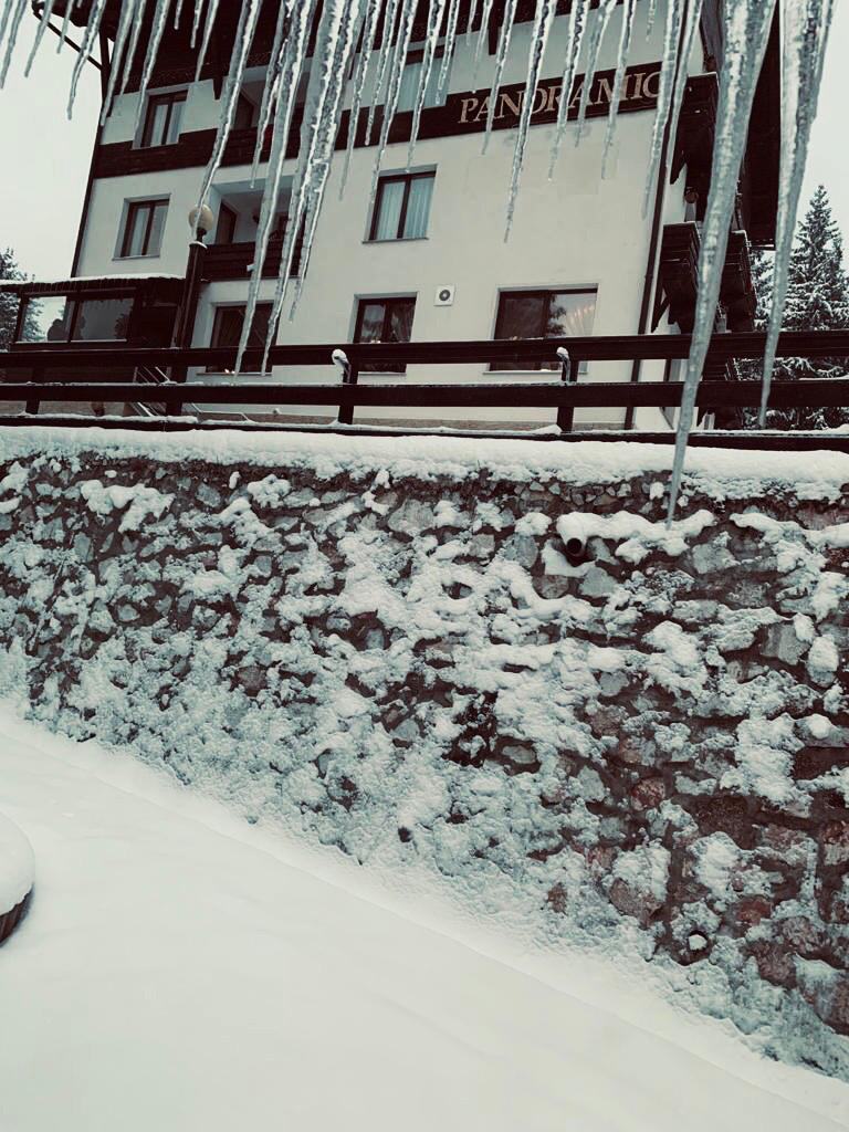 Cazare in Arieseni - PENSIUNEA PANORAMIC - Vartop