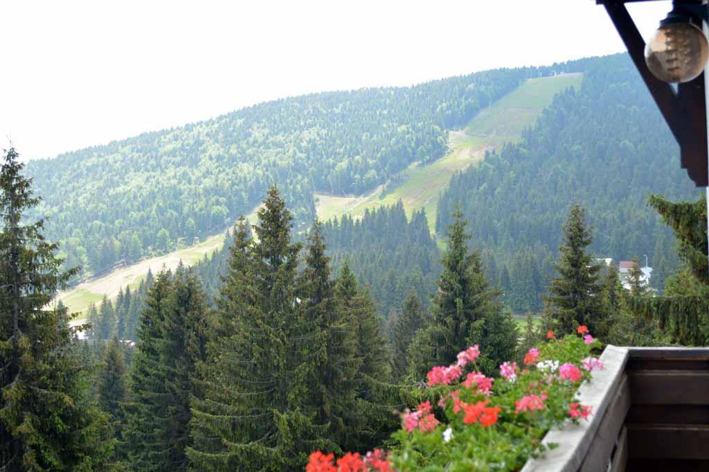 Cazare in Arieseni - PENSIUNEA PANORAMIC - Vartop