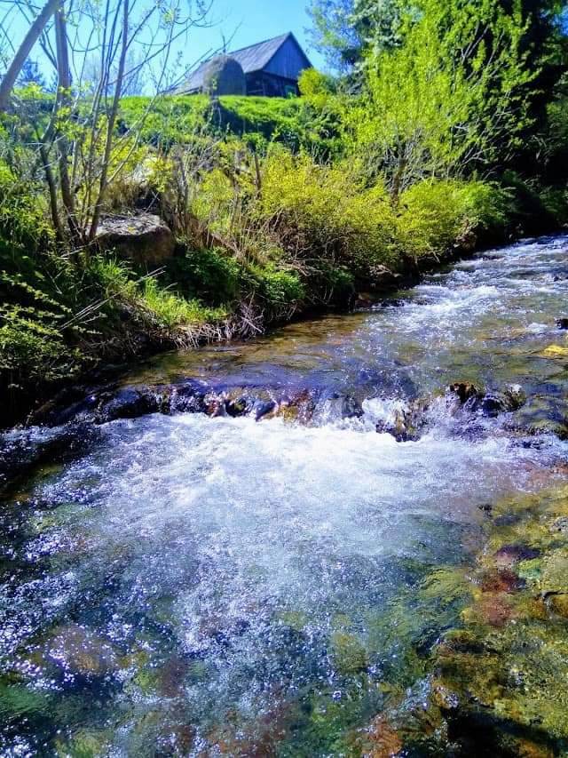 Cazare in Arieseni - PENSIUNEA VALEA  GALBENEI - Arieseni