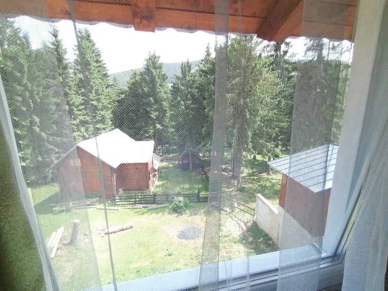 Cazare in Arieseni - CASA DE VACANTA  RELAX - Vartop
