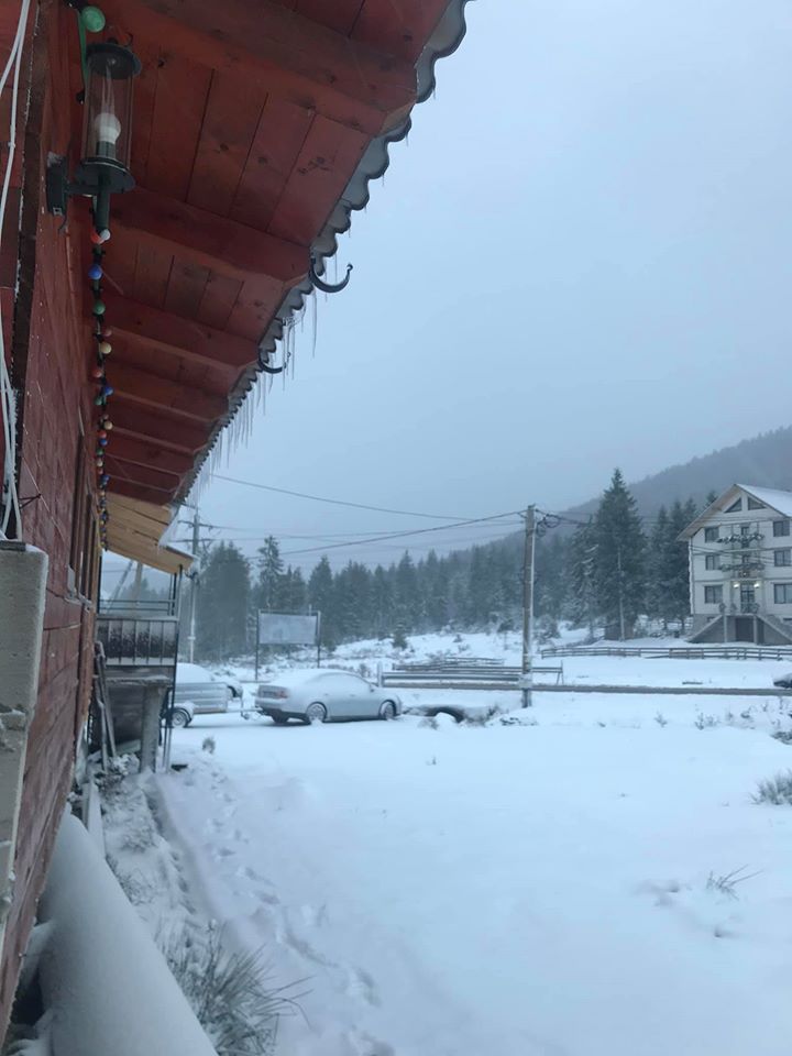Cazare in Arieseni - PENSIUNEA MARINELY - Vartop